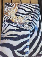 Canvas zebra close-up print showing colors and surface