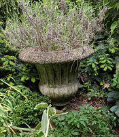 full view of concrete urn planter with plant