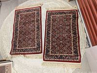 Both rugs full view showing design, size and fringe