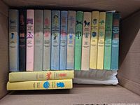 Row of uniformly bound Junior Deluxe Editions titles inside box
