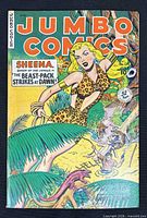 Front cover of Jumbo Comics No. 125