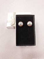 Pair of earrings in box, front view
