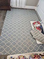 Full view of blue and beige trellis rug on floor