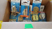 Box holding multiple blister-packed brass spring hinges