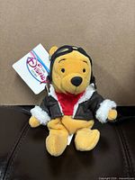 Front view of Winnie the Pooh pilot plush with tag