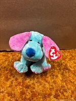 Front view of blue and pink Ty Kookie Beanie Baby with hang tag