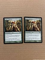 Front view of both Alpha Authority cards