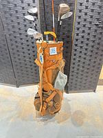 Entire set in stand bag showing all clubs