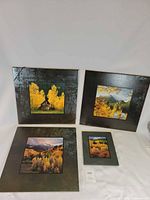 Group shot of all four framed prints front view