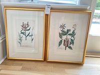 Front view of both framed prints standing side by side