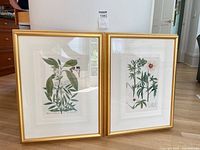 two framed botanical prints side by side with lot tag