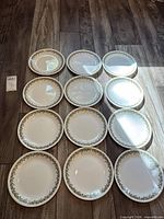 All 12 plates arranged face up on floor