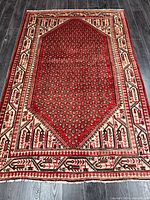 Full view of the rug showing field, borders, and pattern