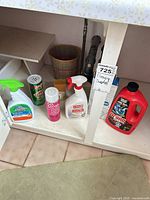 Cabinet shelf with Scrubbing Bubbles spray, Comet cleanser can, Gel-Gloss aerosol, Nature's Miracle spray, Drano bottle, sponge and basket visible