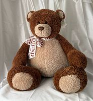 Front view of Gund Basil teddy bear showing full form, ribbon and ear tag