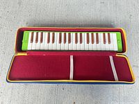 Open case showing Melodihorn inside
