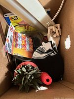 Box contents showing artificial succulent, red funnel, neoprene sleeve, BugTrap fly ribbon, headlamp, mannequin hand, fluorescent fixture