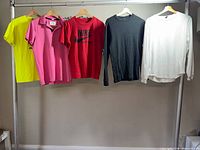 Five tops hanging on rack showing full lot contents