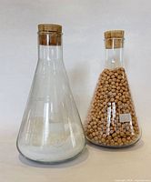 Both glass flasks with corks shown side by side