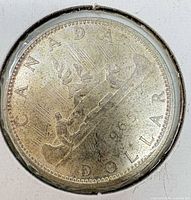 Reverse of 1965 Canadian dollar in holder
