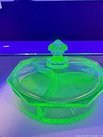 Dish in UV light showing green fluorescence