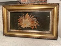Full view of framed dried botanical artwork