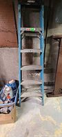 Full view of Werner blue fiberglass 6 ft step ladder standing upright