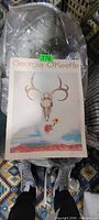 Front cover of softcover art book with title "Georgia O'Keeffe" and skull illustration