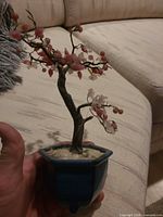 Front view of small glass bonsai tree held by hand showing planter and trunk