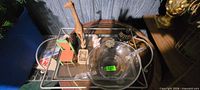 Overhead view of entire lot on tray