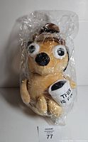 Front view of sealed plush showing face and mug