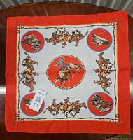Full view of bandana showing colors and graphics