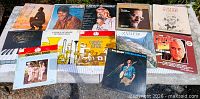 Overhead view of all 12 album covers laid out on table