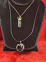 Both necklaces on display bust showing overall appearance