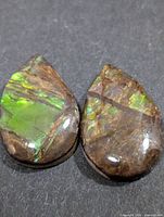 Front view of both teardrop ammolite cabochons showing color play