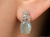 Earring worn on ear showing scale and design