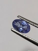 Front view of oval bluish-violet faceted tanzanite held in tweezers