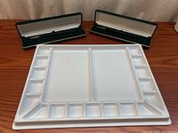 Palette tray with two brush cases