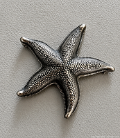Front view of sterling starfish brooch showing texture and shape