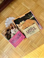 Both books grouped together on floor showing covers