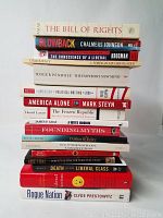 Stack of 17 political science books showing titles and authors clearly for identification.