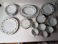 Overhead photo of entire set showing stacked plates, bowls, and cups with grapevine pattern around rims.