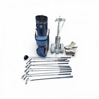 Full lot view: golf bag, pull cart, eight clubs laid out, roller skates