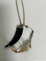 Full view of necklace showing horn claw pendant and feather charm on wheat chain