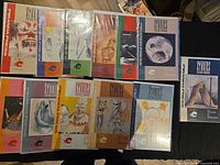 All twelve comics laid out showing front covers