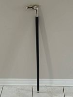 Full view of walking stick showing shaft, handle, ferrule