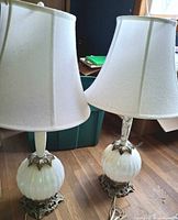 Pair of lamps with shades displayed side by side