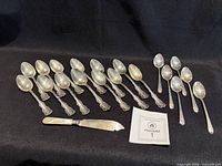 Full set: 13 spoons and one knife on black cloth
