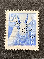 Full view of the 5-cent Mountain Goat stamp showing perfin and cancellation