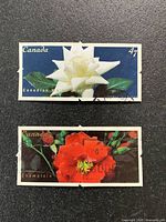 Two 47-cent Canada Roses stamps, Canadian White Star and Champlain varieties